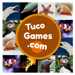 Free memory games for seniors: Sea animals. Online memotest for adults