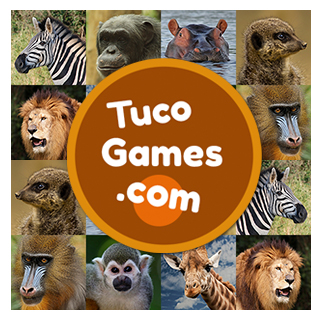 Free memory matching game for adults medium level with 20 cards: Jungle Animals