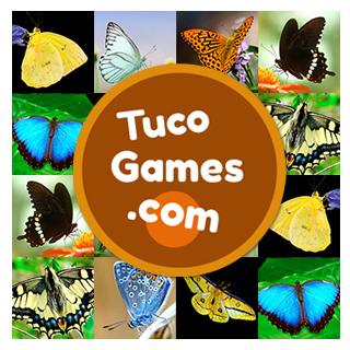 Online Memory card game for adults hard level with 30 cards: Butterflies