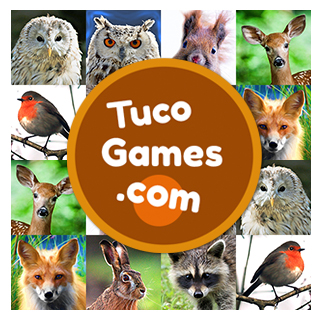 Memory games for adults and seniors: Forest Animals