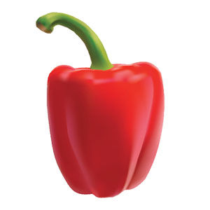 Memory · Medium · Vegetables