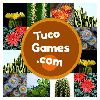 Free memory matching game for adults: Cactus