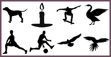 Shadows Visual Memory Game