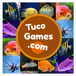 Free memory matching cards game for adults and seniors: Fish images
