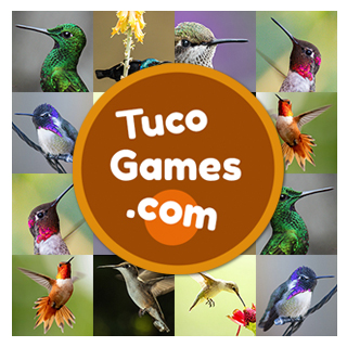 Play the best free online memory games for seniors and adults: Hummingbirds