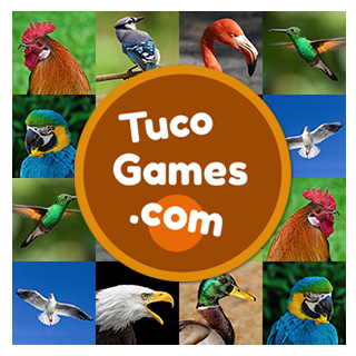 Memory card game for adults: Birds