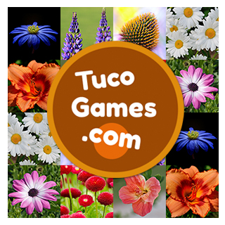 Train your brain playing online matching games for adults: pictures of flowers